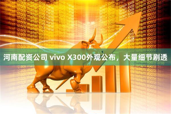 河南配资公司 vivo X300外观公布，大量细节剧透