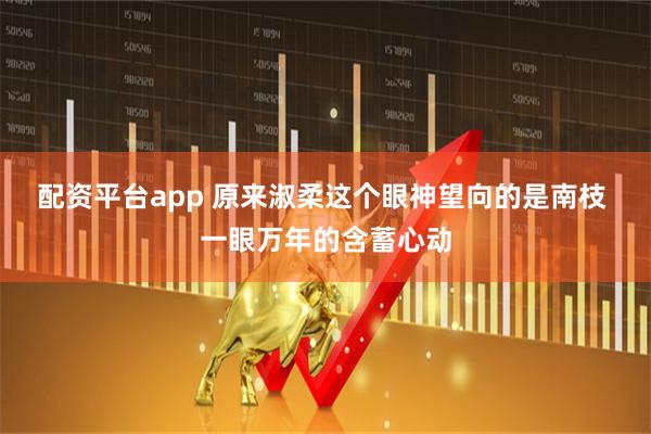 配资平台app 原来淑柔这个眼神望向的是南枝 一眼万年的含蓄心动