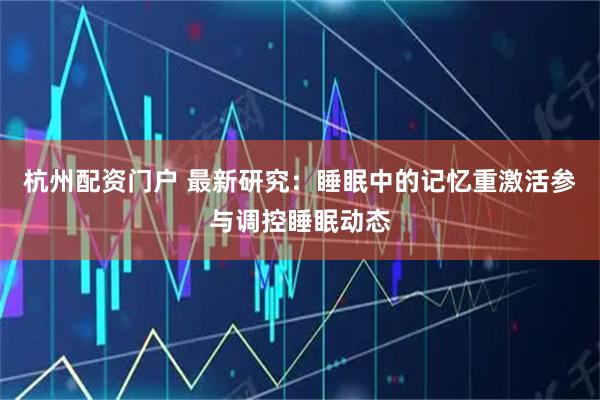 杭州配资门户 最新研究：睡眠中的记忆重激活参与调控睡眠动态